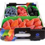Bonares presente en Fruit Attracción 2012 donde Plus Berries presenta su nuevo mixto de berries. 