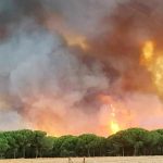 La Junta activa el nivel 1 del Plan Infoca por un incendio forestal en Moguer.
