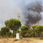 Declarado un incendio forestal en Moguer.