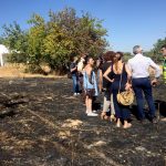 Bonares y Lucena, declaradas zonas afectadas por emergencias de protección civil por los incendios que han sufrido