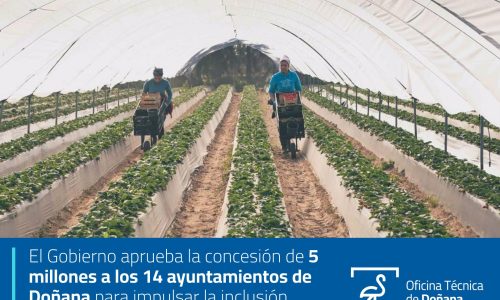 El Gobierno aprueba la concesión de 5 millones a los 14 ayuntamientos de Doñana para impulsar la inclusión social y laboral de la población más vulnerable
