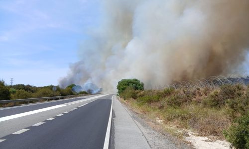 Declarado un segundo incendio en Bonares en menos de 24 horas.