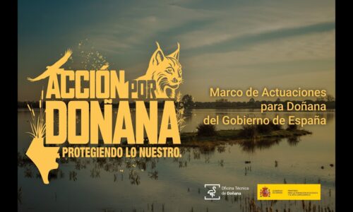 El MITECO lanza la campaña ‘Acción por Doñana’ para sensibilizar a la población sobre la importancia de la protección del espacio natural